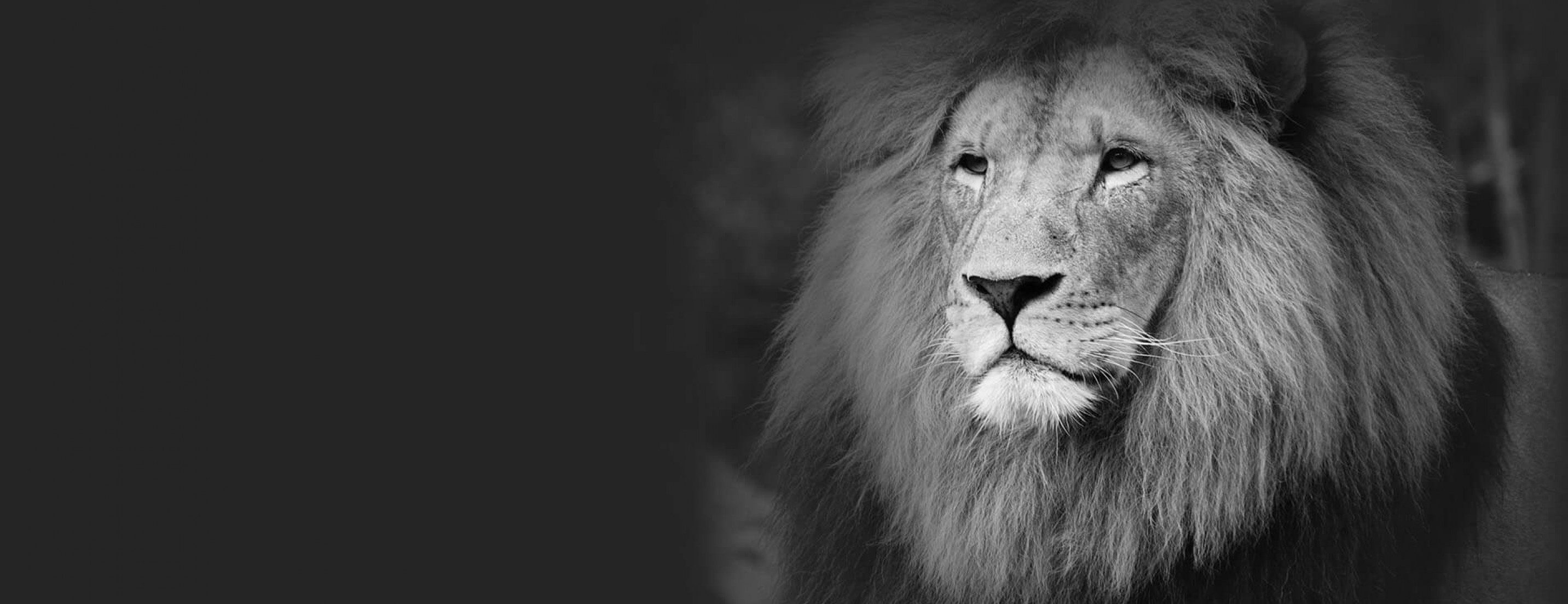 gaziosmanpaşa diş kliniği clinic 500